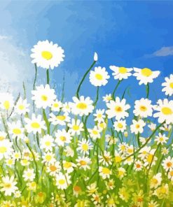 Field Of Daisies Art Paint By Numbers