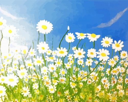 Field Of Daisies Art Paint By Numbers