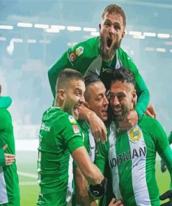 Hammarby Fotboll Team Players Paint By Numbers