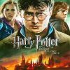 Harry Potter And The Deadly Hallows Poster Paint By Numbers