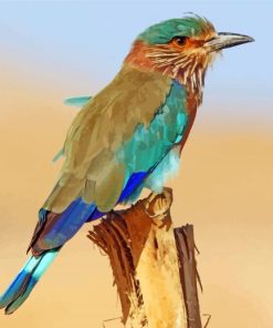 Indian Roller Paint By Numbers