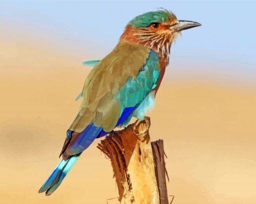 Indian Roller Paint By Numbers