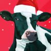 Merry Christmas Cow Paint By Numbers