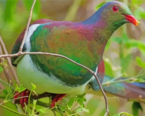 New Zealand Kereru Paint By Numbers