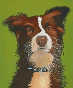 Red And White Border Collie Dog Animal Paint By Numbers