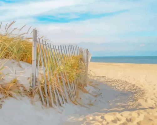 Sandy Neck Beach Paint By Numbers