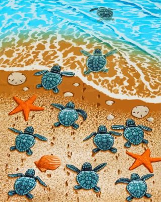 Sea Baby Turtles Paint By Numbers