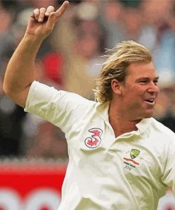 Shane Warne Paint By Numbers