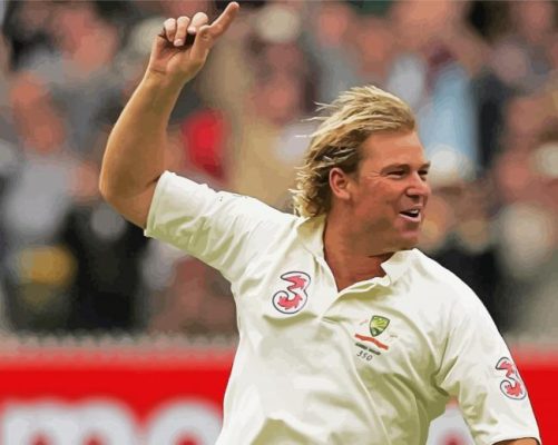 Shane Warne Paint By Numbers