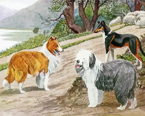 Sheep And Dogs Paint By Numbers