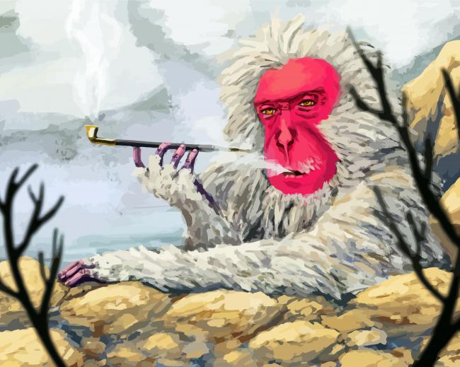 Snow Monkey Smoking Paint By Numbers