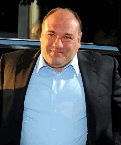 The Actor James Gandolfini Paint By Numbers