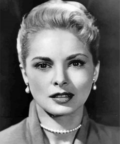 The American Actress Janet Leigh Paint By Numbers