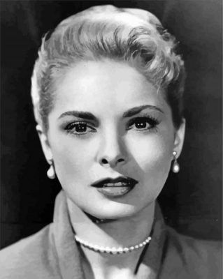 The American Actress Janet Leigh Paint By Numbers