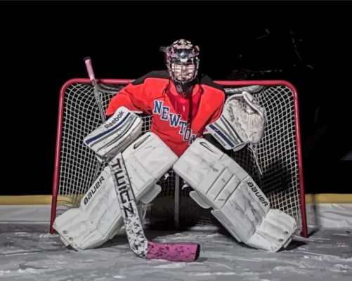 The Hockey Goalie Paint By Numbers