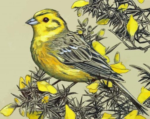 The Yellowhammer Paint By Numbers