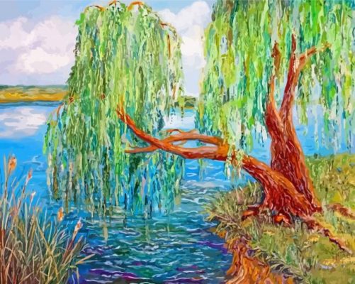 Willow Tree By River Paint By Numbers