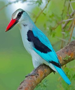 Woodland Kingfisher Paint By Numbers