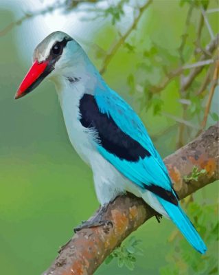 Woodland Kingfisher Paint By Numbers