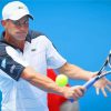 Andy Roddick Paint By Numbers