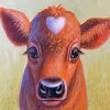 Baby Brown Cow Paint By Numbers