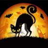 Black Halloween Cat Paint By Numbers