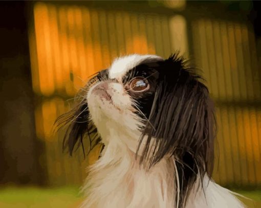 Close Up Japanese Chin Paint By Numbers