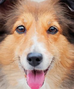 Cute Welsh Sheepdog Paint By Numbers