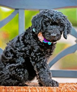 Cute Little Black Goldendoodle Paint By Numbers