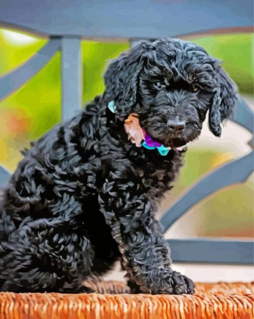 Cute Little Black Goldendoodle Paint By Numbers