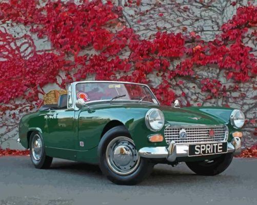 Green Austin Healey Sprite Paint By Numbers