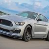 Grey Shelby Mustang Sport Car Paint By Numbers