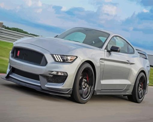 Grey Shelby Mustang Sport Car Paint By Numbers