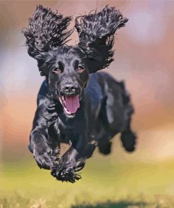 Happy Black Cocker Spaniel Paint By Numbers