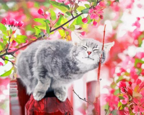 Lovely Cat And Flowers Paint By Numbers