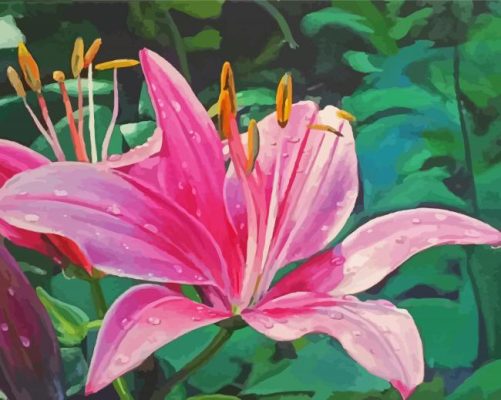 Pink Lily With Water Drops Paint By Numbers