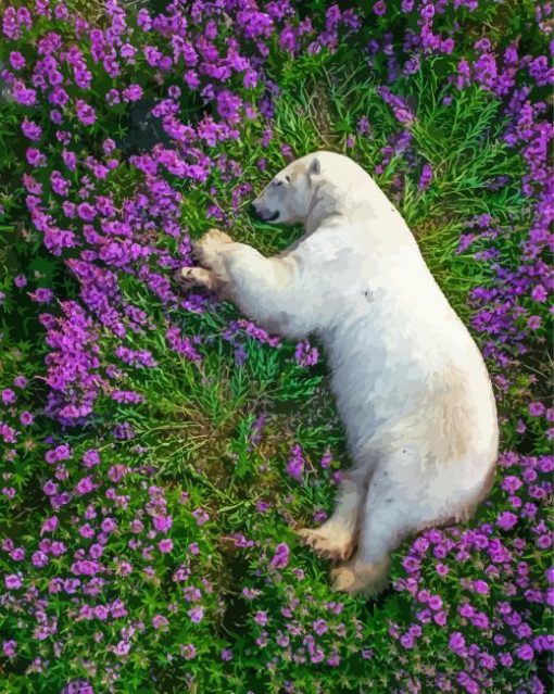 Sleeping Bear In Flowers Field Paint By Numbers
