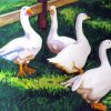 White Geese In The Garden Art Paint By Numbers