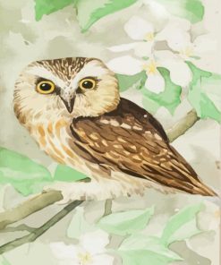 AJ Casson Owl Paint By Numbers