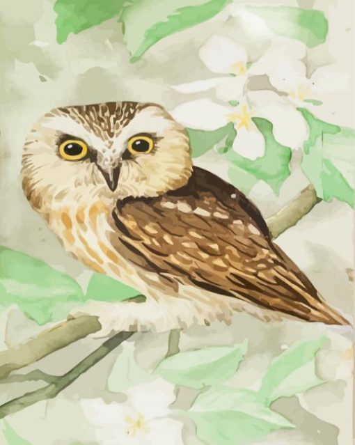 AJ Casson Owl Paint By Numbers