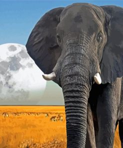 African Elephant Moon Paint By Numbers