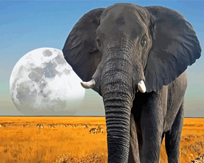 African Elephant Moon Paint By Numbers