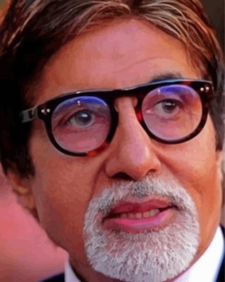 Amitabh Bachchan Paint By Numbers