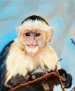 Baby Capuchin Monkey Paint By Numbers