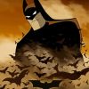 Batman Begins Animated Movie Paint By Numbers