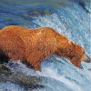 Bear By Stream Paint By Numbers