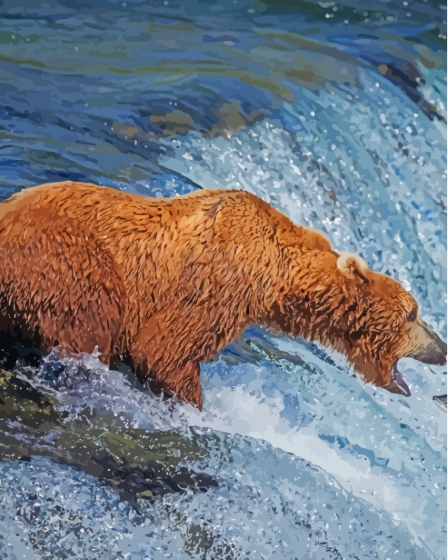 Bear By Stream Paint By Numbers