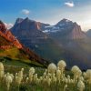 Beargrass Meadow Glacier National Park Paint By Numbers