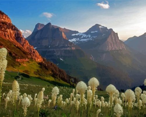 Beargrass Meadow Glacier National Park Paint By Numbers