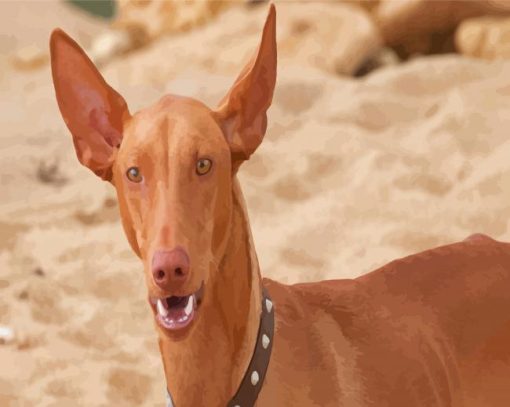 Beige Pharaoh Hound Paint By Numbers